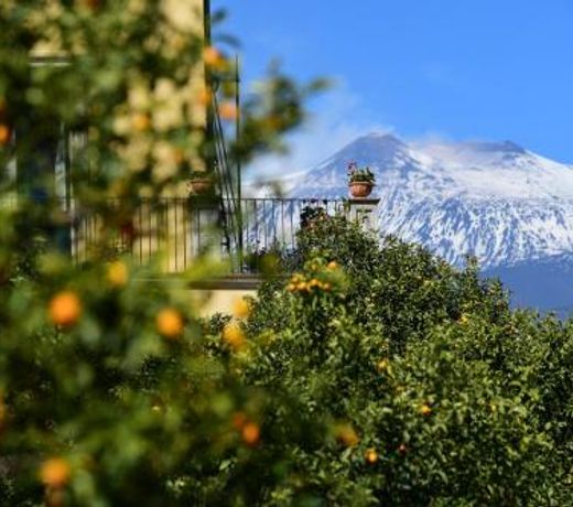 Giardino Arancio