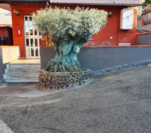Bed & Breakfast Neapolis
