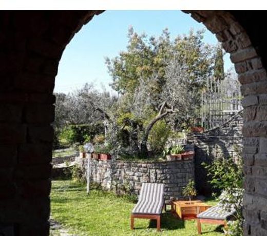 La collina degli olivi