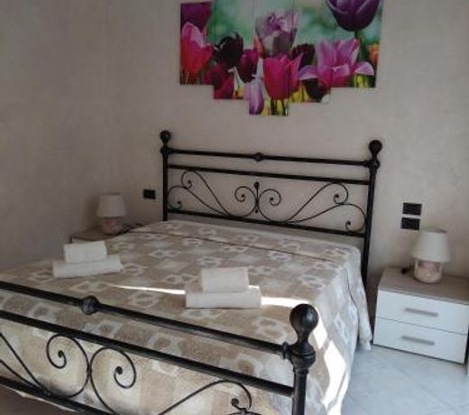 Il Tulipano