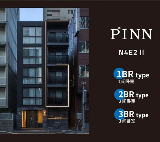 PINN-N4E2â¡
