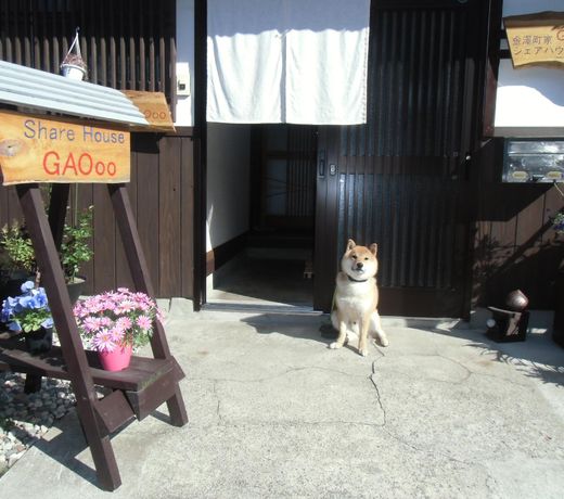 Kanazawa Share House GAOoo