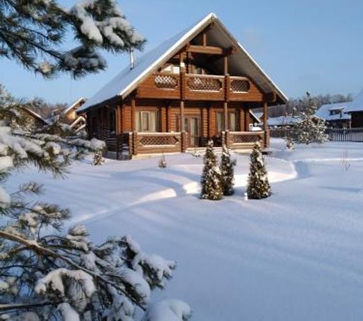 Boroviki House