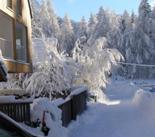 Apartma in Bungalov Jezerci