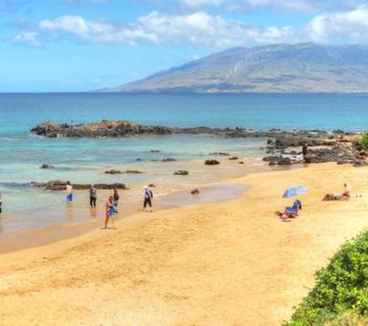 Maui Parkshore 110