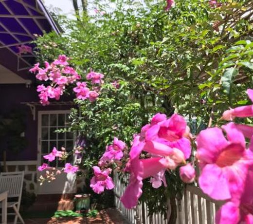 NhÃ  TÃ­m Homestay