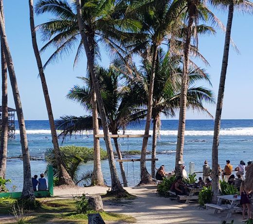 Reef 9