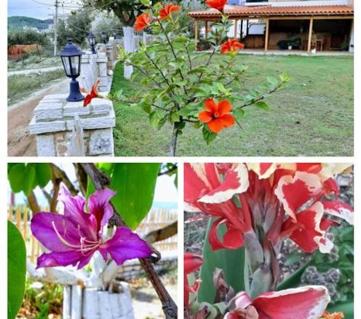 Agrotourism Himara