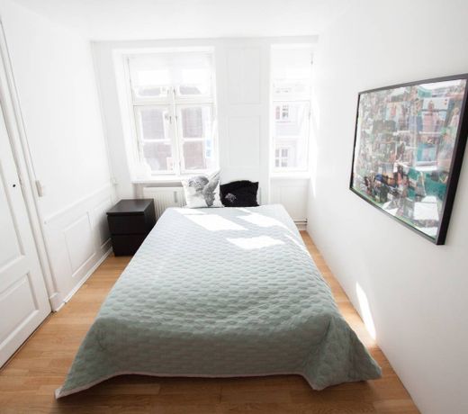100 Sqm of Cosiness in the most Central CPH