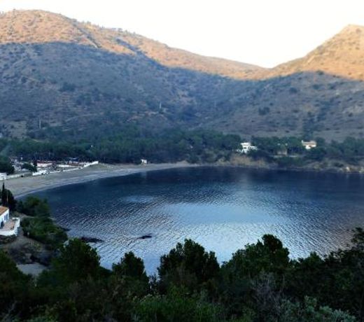Marina 7