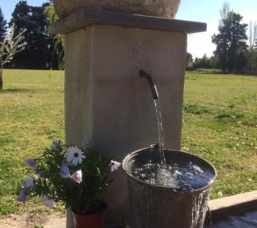 SafraniÃ¨re des Sorgues
