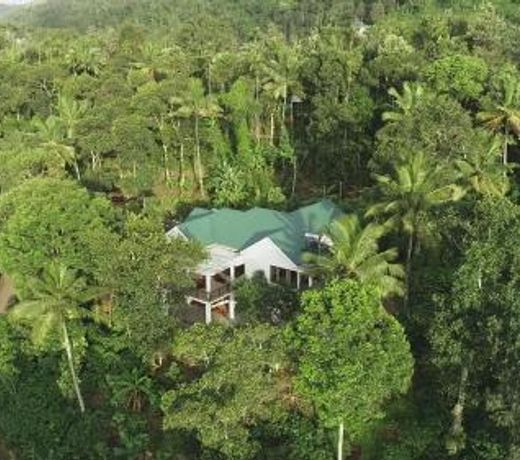 Coffee and Pepper Plantation Homestay