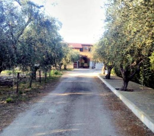 La casetta