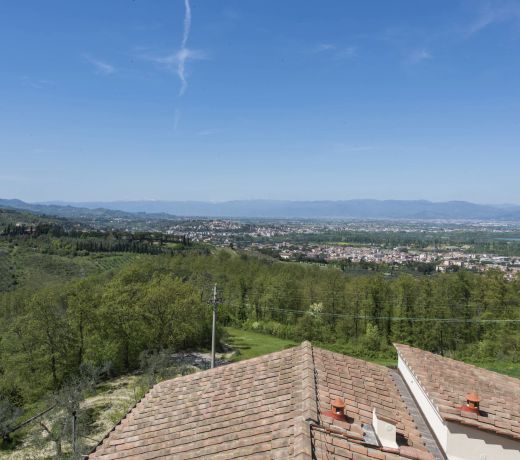 Olmofiorito