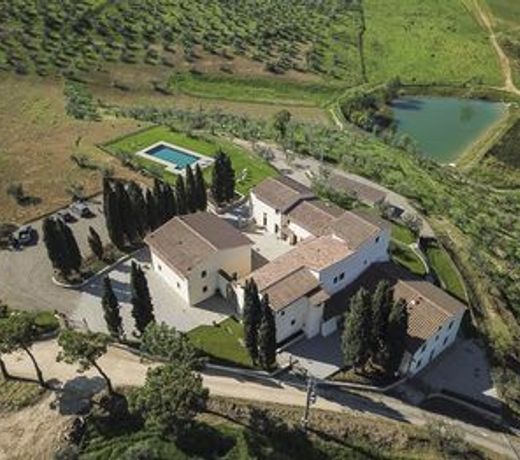 Olmofiorito