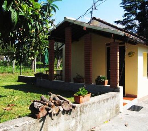 L'albero delle noci