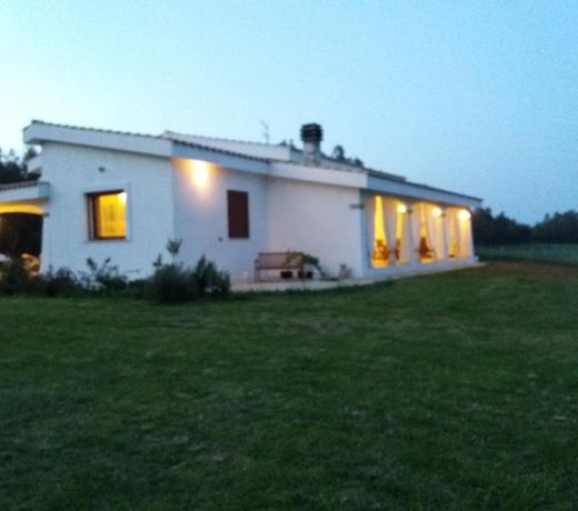 B&B Briosa