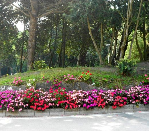 Residence Corallo