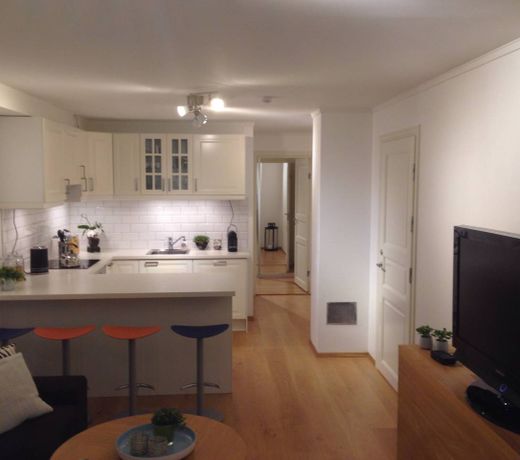 Cozy basement apartment near central Oslo