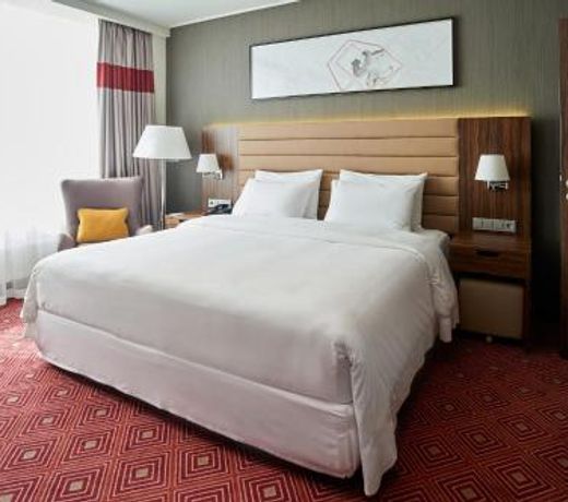 Radisson Hotel & Congress Center Saransk