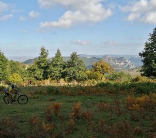 La Gradinata B&B