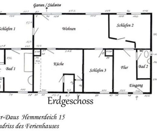 Eider-Daus