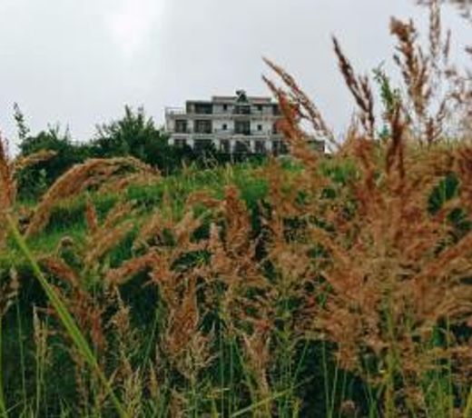 Lord Krishna Himalayan Hotel and Restaurant