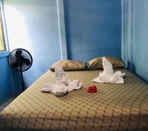 Green Macaw Hostel