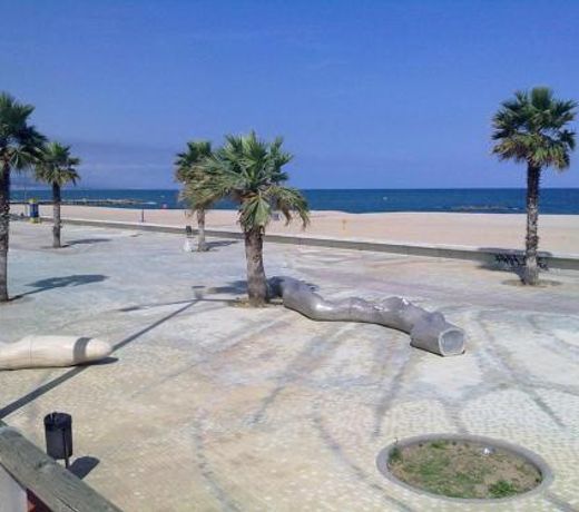Forum Beach