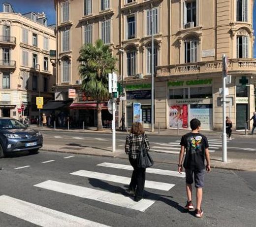 Nature 2 piÃ¨ces 3 etoiles calme plein centre cannes 5 mn des plages et Palais