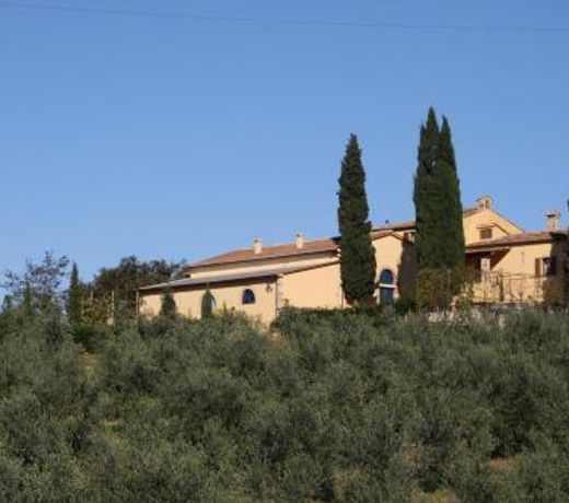 Donzellino