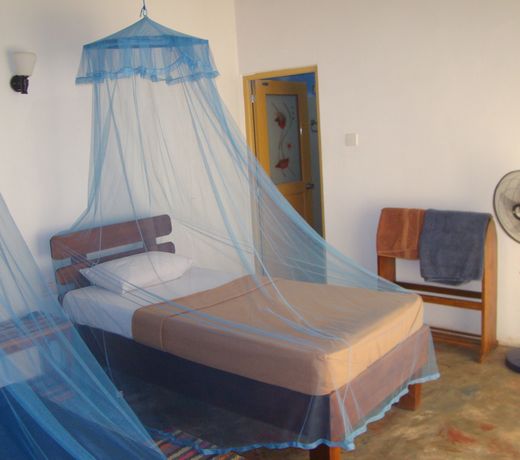 Yoho Okan Rock Wooden Cabana