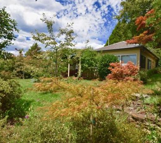 Raspberry Terrace of Leura