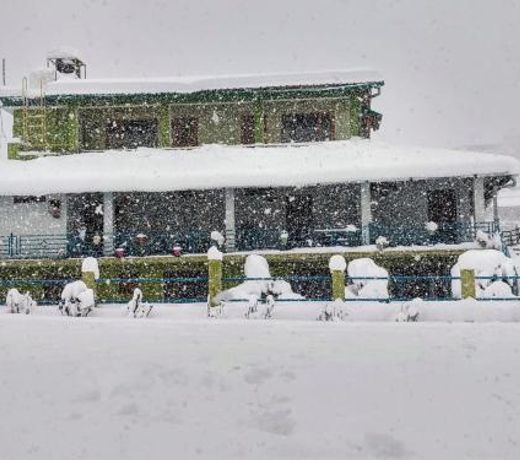 Chirping Orchard, Mukteshwar
