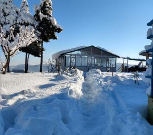 Chirping Orchard, Mukteshwar