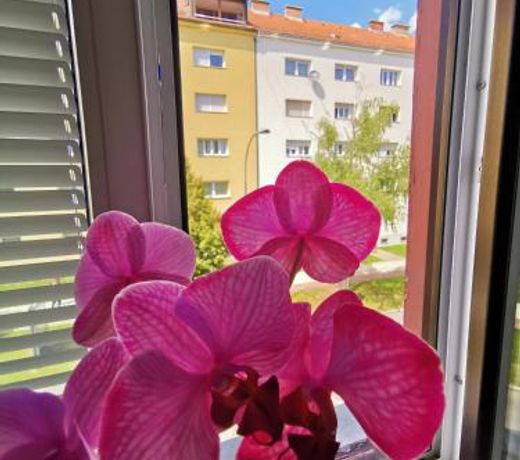 Apartma MB-Center