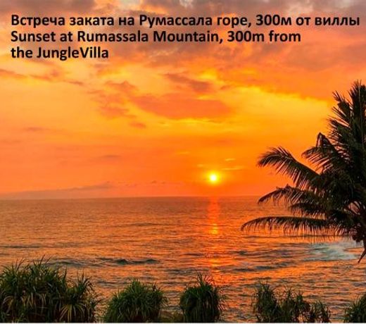 JungleVilla