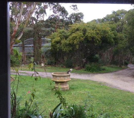 Aashay Country Stay
