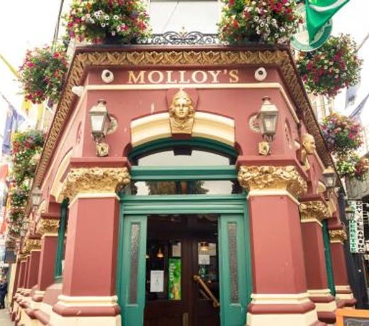 Molloys Apartments