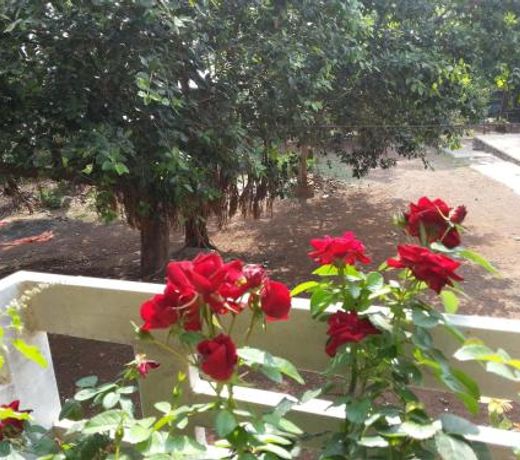 Maharaja Home Stay Panhala