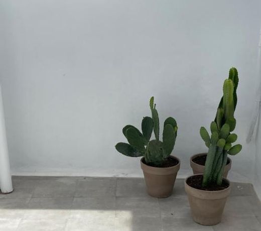 Casa Florinda Tarifa