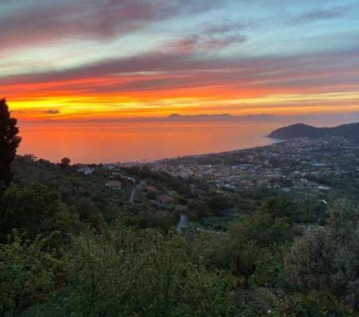 Tenuta La Panoramica