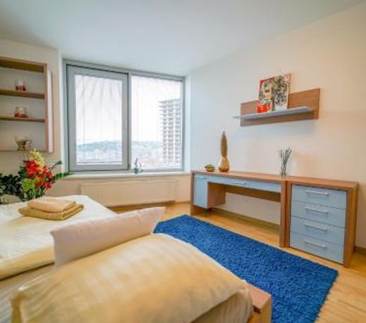 Slavic Spacious Apartment