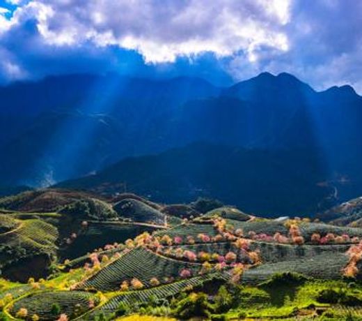 Sapa Dao Homestay