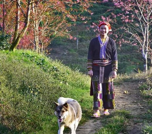 Sapa Dao Homestay