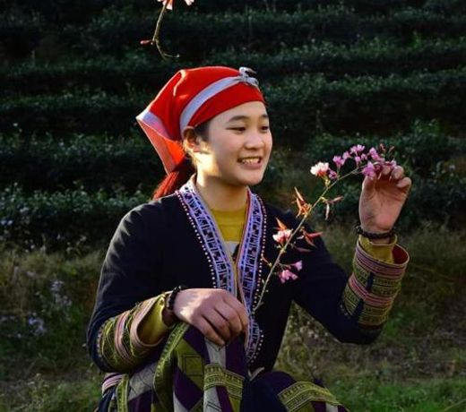 Sapa Dao Homestay