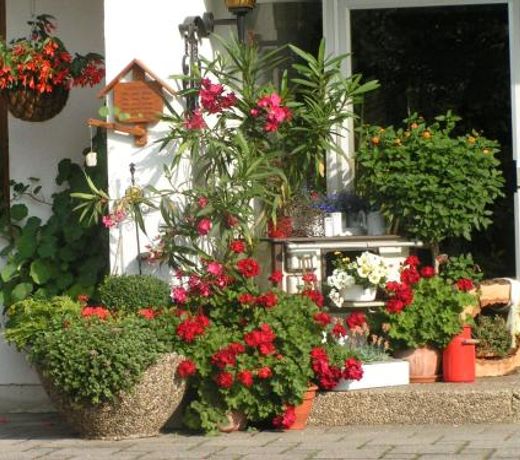 Pension Zum Ebenstein am Donausteig