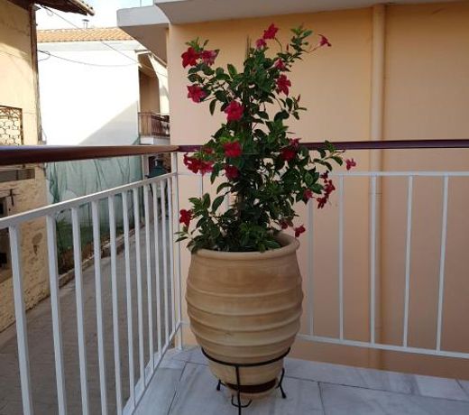 Casa di fiori