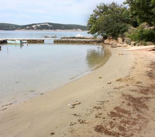 Luxury villa with a swimming pool Supetarska Draga - Gonar, Rab - 15575