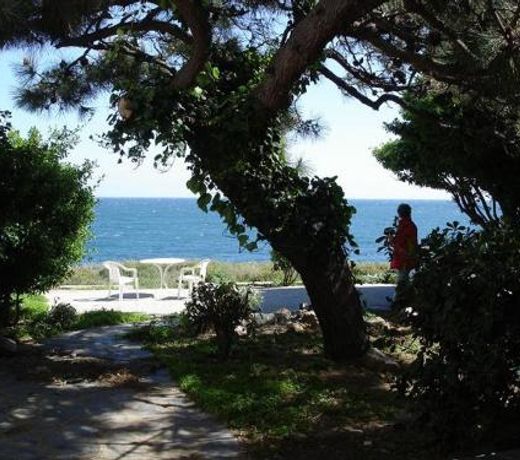 Estrella del Mar